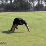 BEAR CRAWL