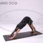 DOWNWARD DOG