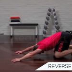 REVERSE PUSH-UP