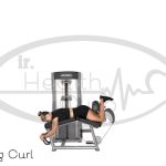 Hamstring Curl