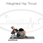 Weighted Hip Thrust