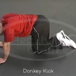 Donkey Kick