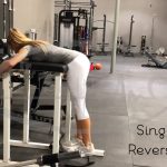 Single-Leg Reverse Hyper